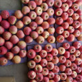 Exported Standard Quality of Fresh Red Qinguan Apple